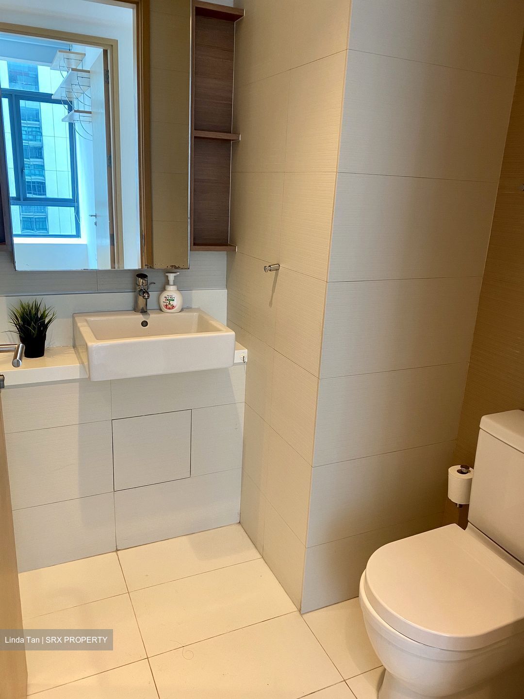Soleil @ Sinaran (D11), Condominium #566626661